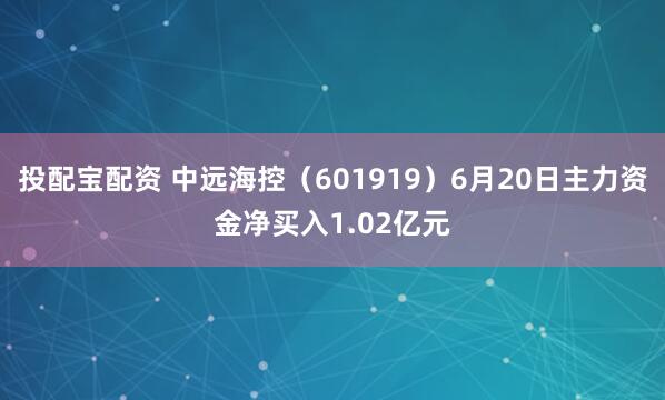 投配宝配资 中远海控（601919）6月20日主力资金净买入1.02亿元