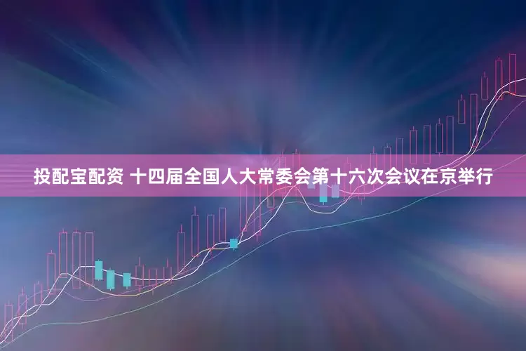 投配宝配资 十四届全国人大常委会第十六次会议在京举行
