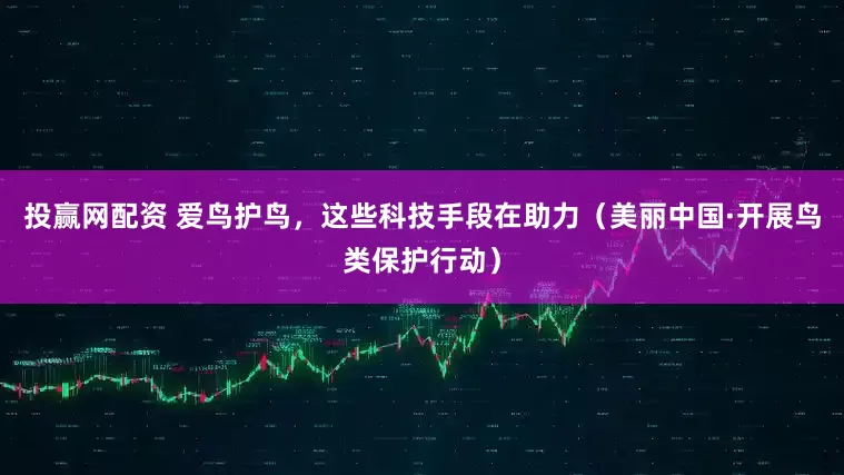 投赢网配资 爱鸟护鸟，这些科技手段在助力（美丽中国·开展鸟类保护行动）