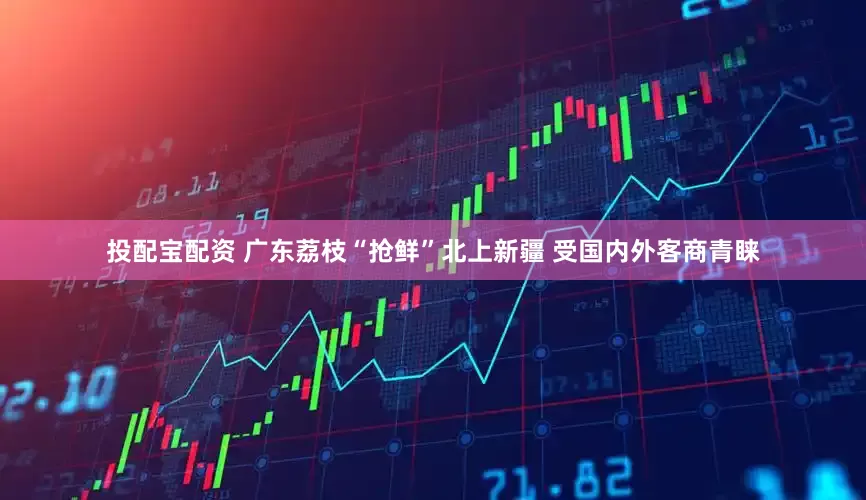投配宝配资 广东荔枝“抢鲜”北上新疆 受国内外客商青睐