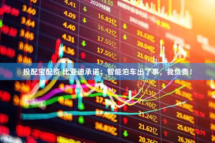 投配宝配资 比亚迪承诺：智能泊车出了事，我负责！