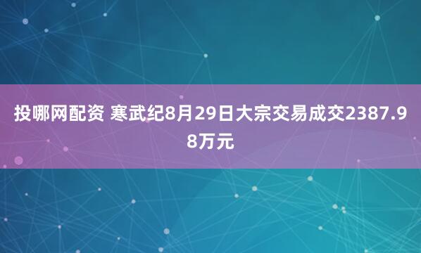 投哪网配资 寒武纪8月29日大宗交易成交2387.98万元