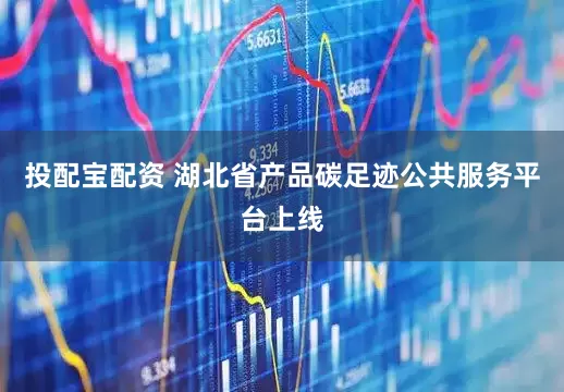 投配宝配资 湖北省产品碳足迹公共服务平台上线